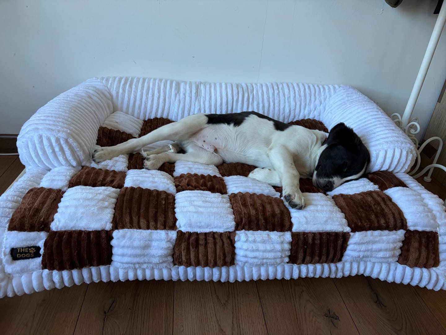 Customer photo review of Camita de Sillón Signature para Perros