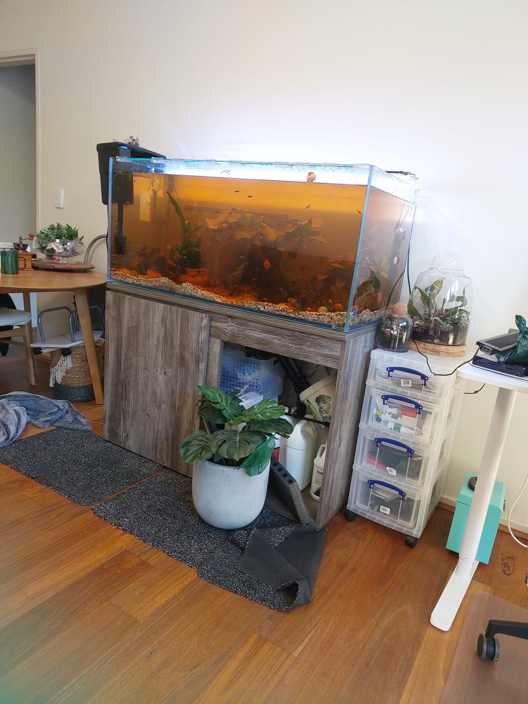 Customer photo review of DALUA WRGB Slim LED