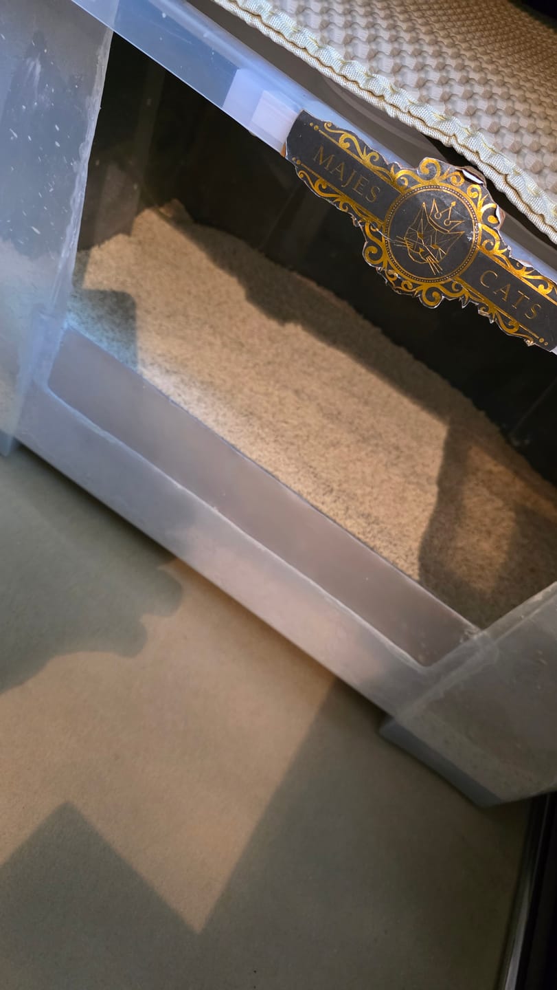 Customer photo review of Katzenstreu 2+1 Aktion