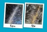 Customer photo review of Capilux™ — Exfoliante para un Cuero Cabelludo Limpio y Calmado