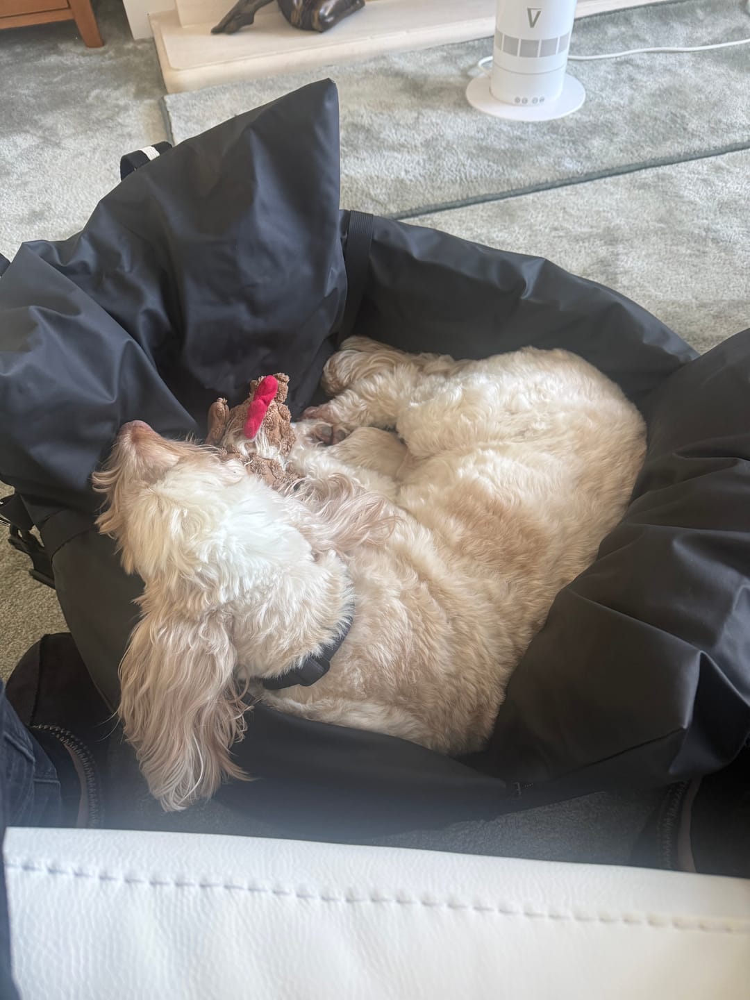 Customer photo review of Dog Dock V2 New & Improved ISO Fix