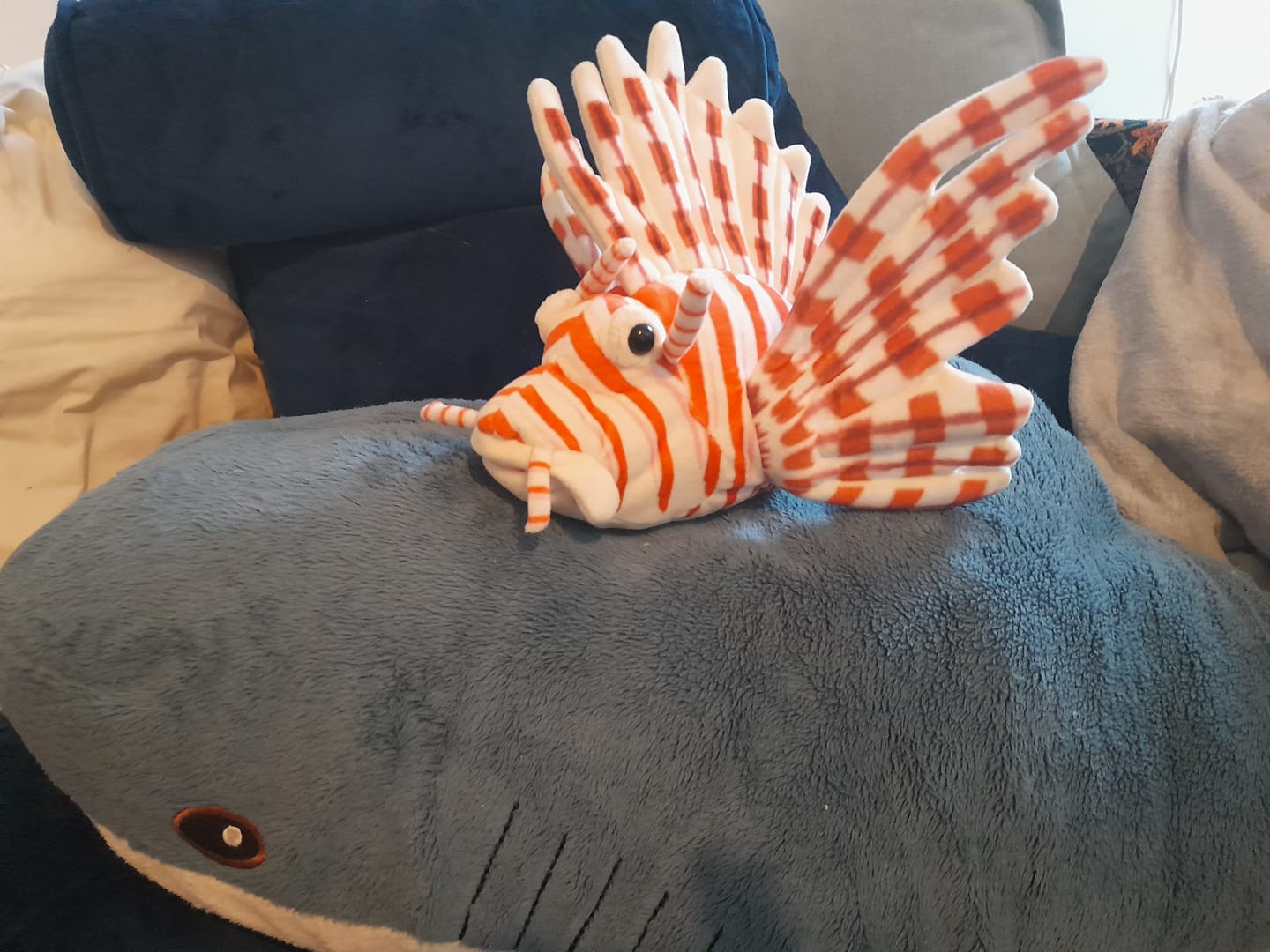 Customer photo review of Red Lionfish Plush Toy – Vibrant Stripes, Lifelike Design, Perfect for Ocean Lovers