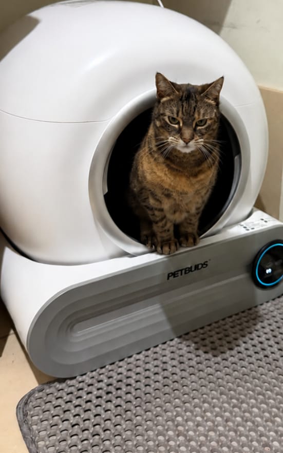 Customer photo review of Petbuds™ Pro 2026 Automatic Self-Cleaning Litter Box