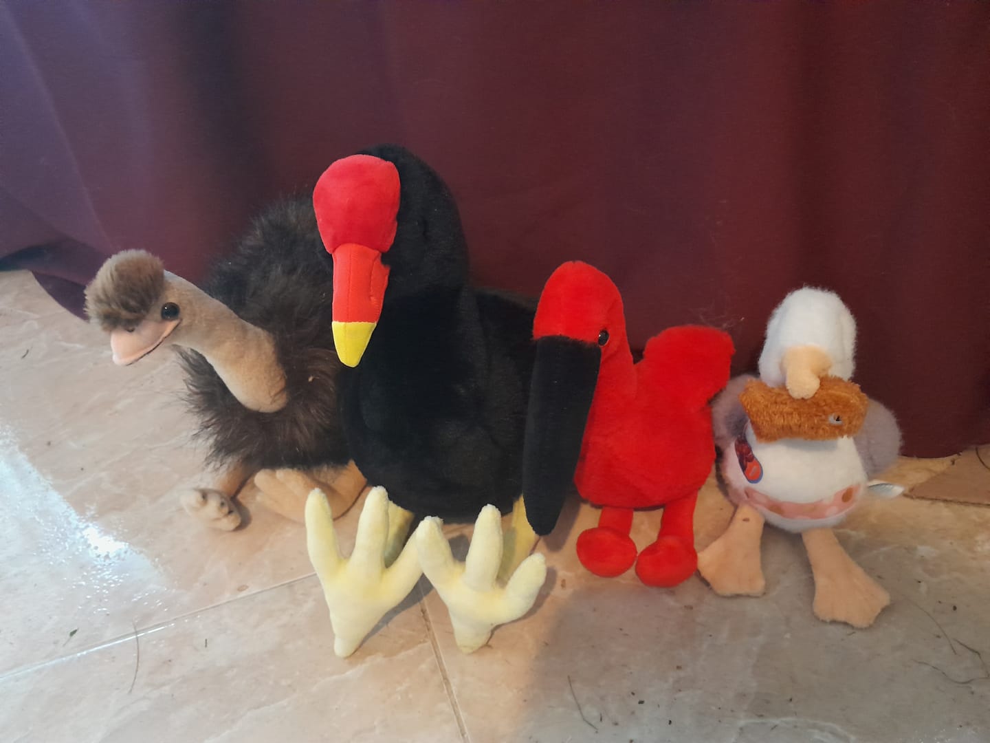 Customer photo review of Common Moorhen Plush Toy – Realistic, Soft and Vibrantly Detailed