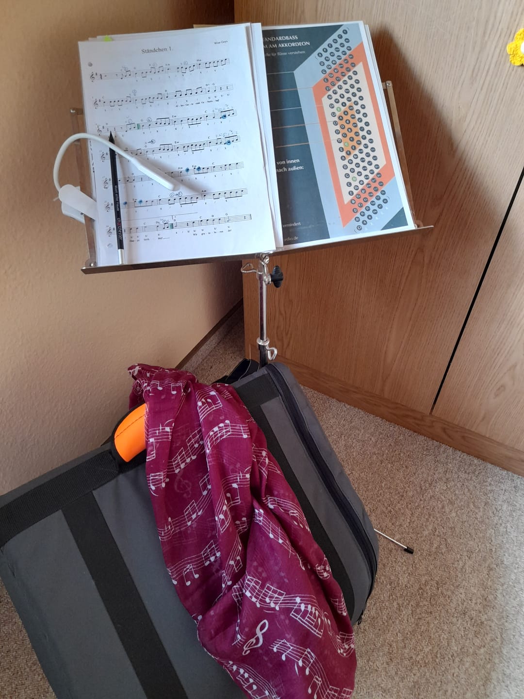 Customer photo review of Stilvolle Musiker Loop-Schals
