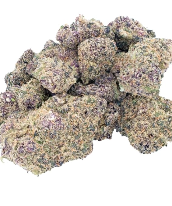 Customer photo review of Greenhouse Flower