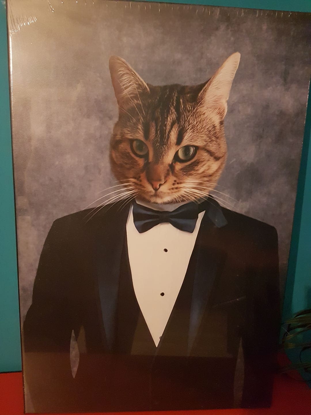 Customer photo review of Portrait Chien Amiral