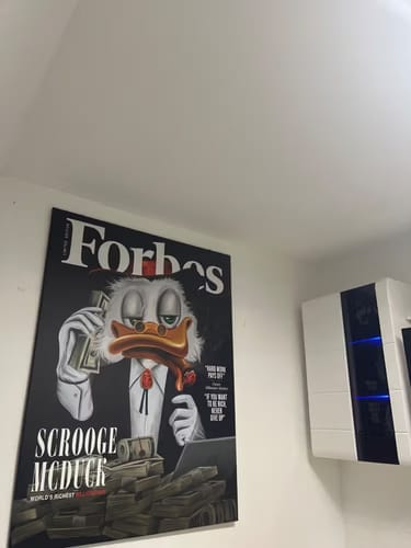 Customer photo review of Belfort's Fortune