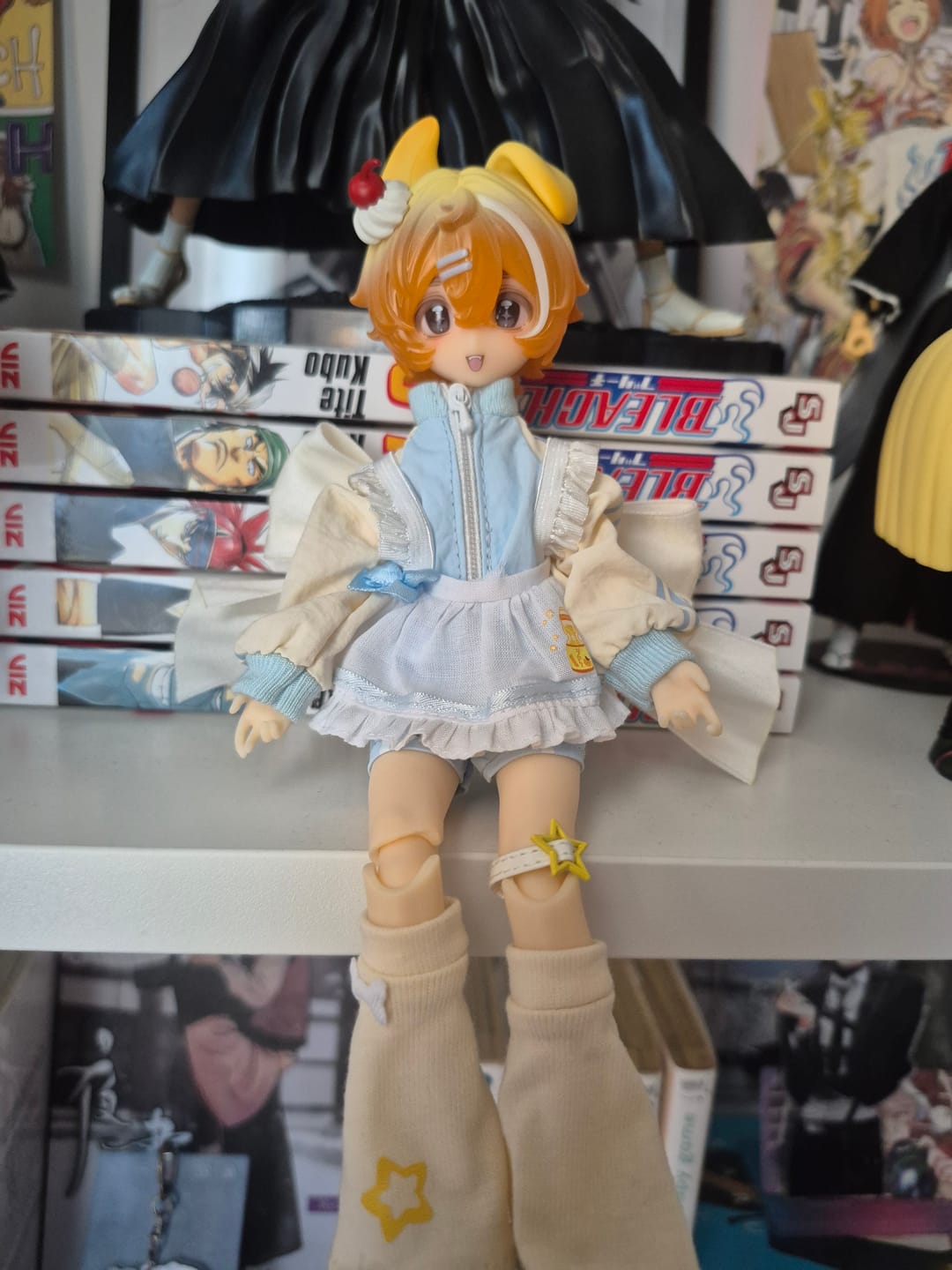 Customer photo review of Boxed Furry Series 1/8 Action Figure BJD Blind Box