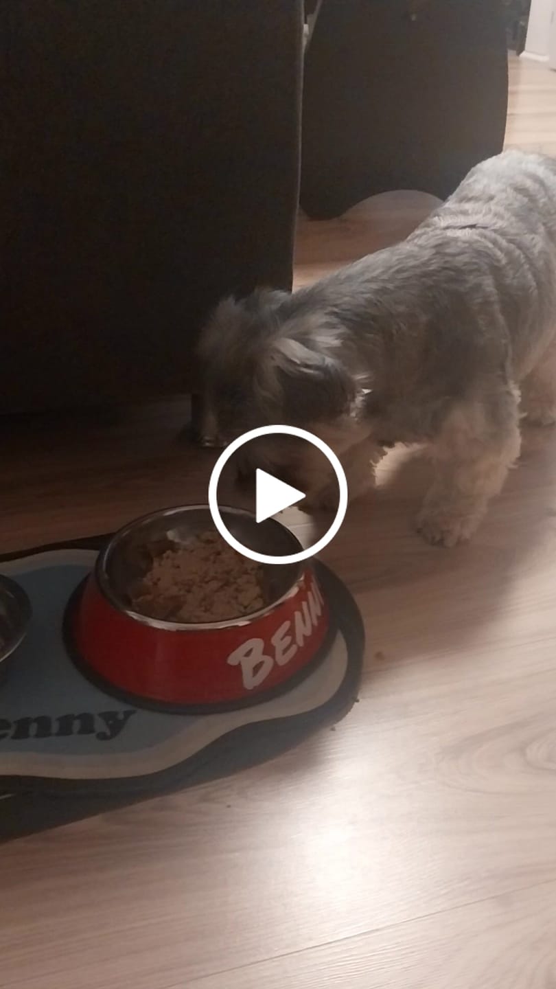 Customer video review of Frischfutter für Energiebedarf von 324 kCal/Tag