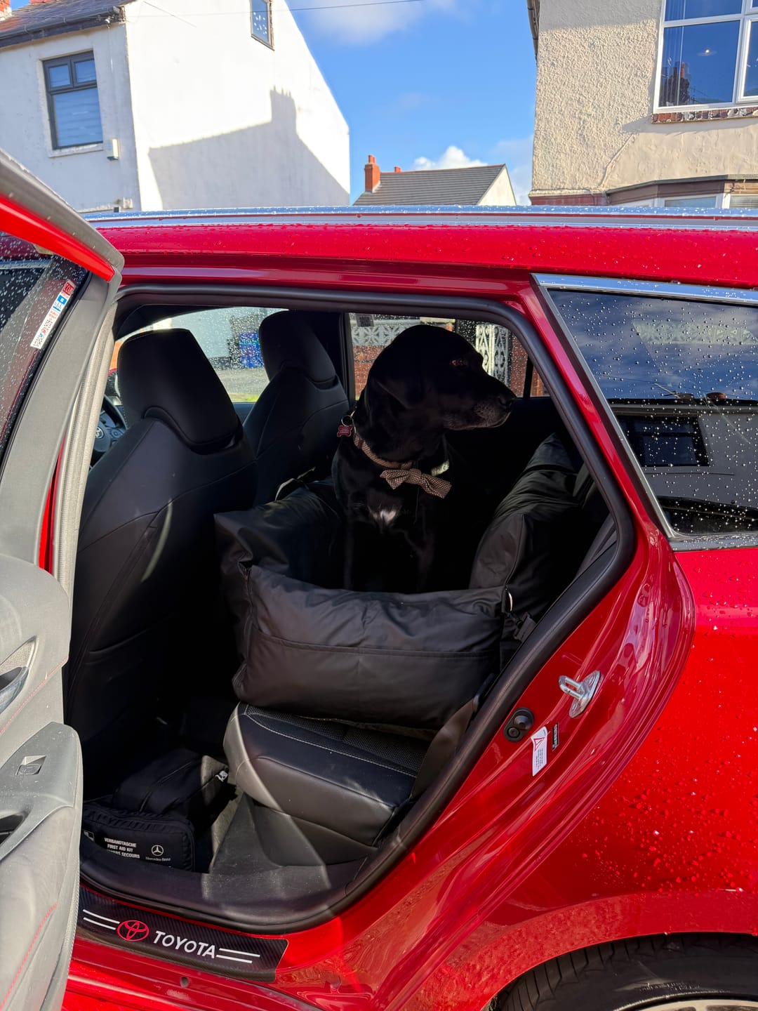 Customer photo review of Dog Dock V2 New & Improved ISO Fix