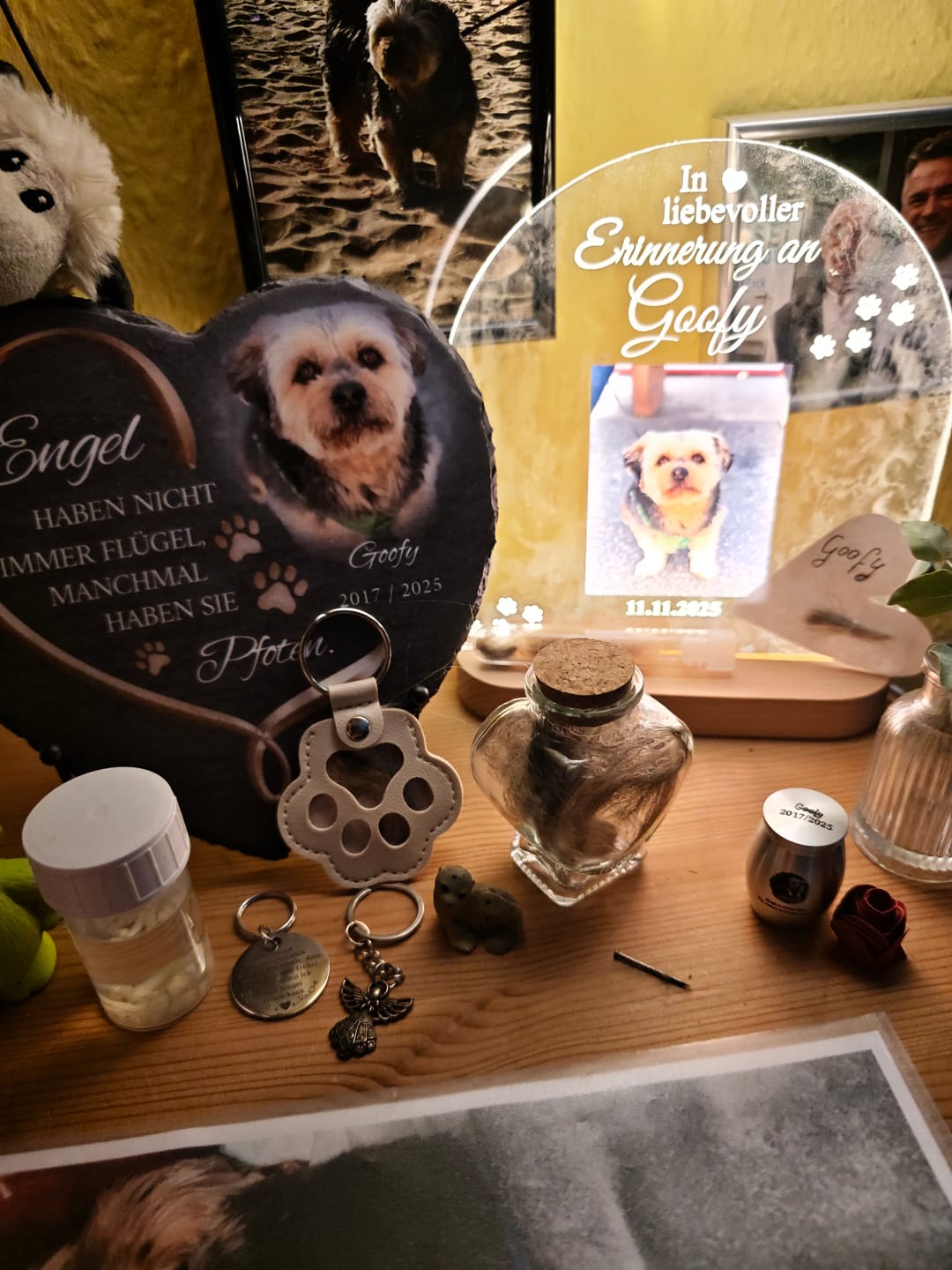 Customer photo review of Zur liebevollen Erinnerung – LED-Lampe für Hund/Katze
