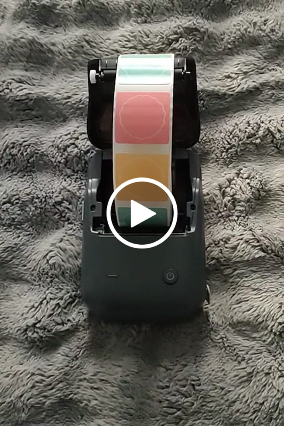 Customer video review of Seasonal Label for B21, B1, B3S