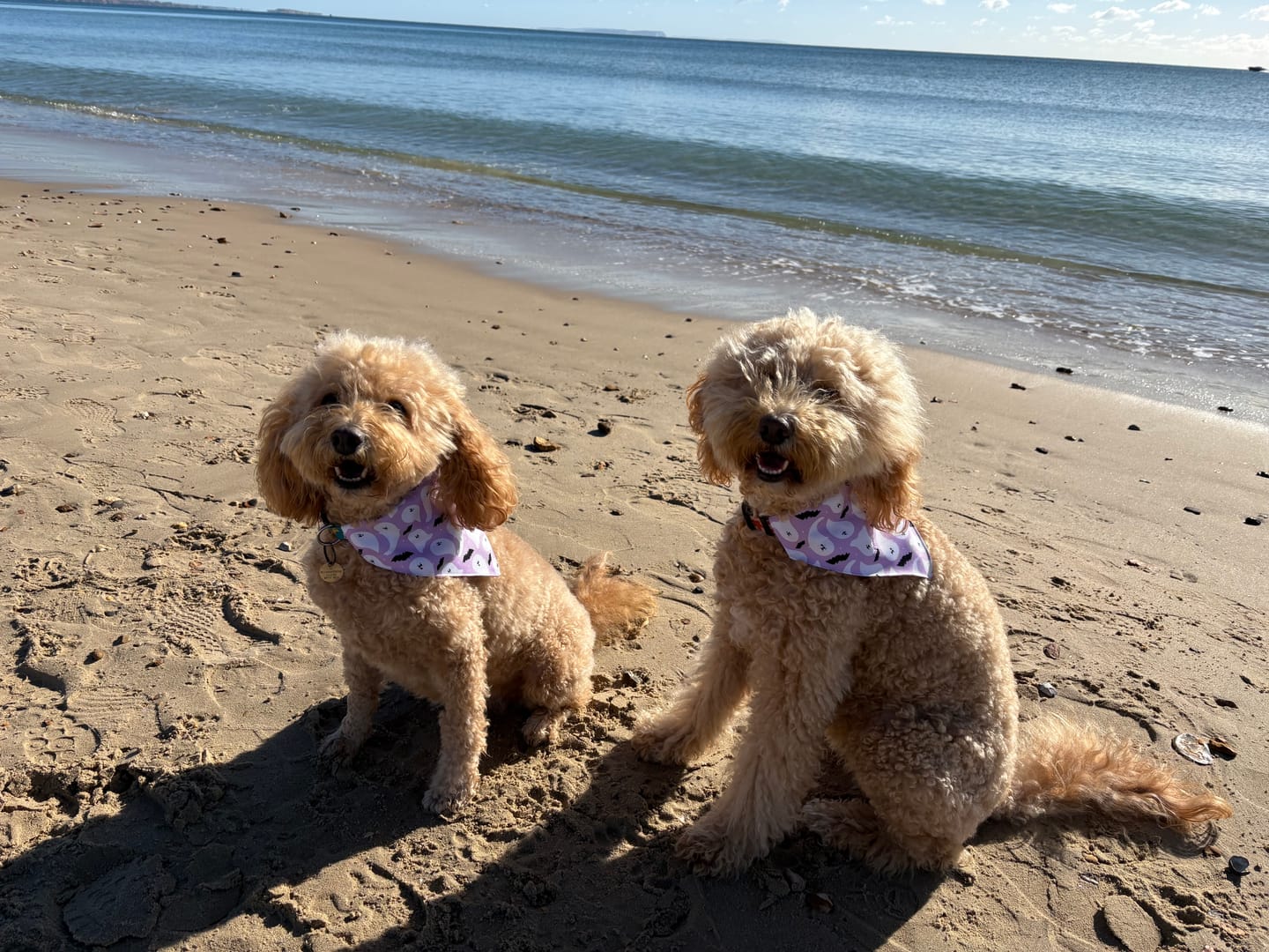 Customer photo review of Bandana Loop Through - Boo-Hoo Hun