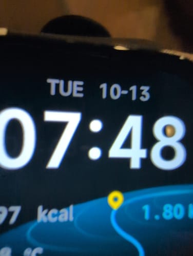 Customer photo review of Gard Pro Health Smartwatch 3