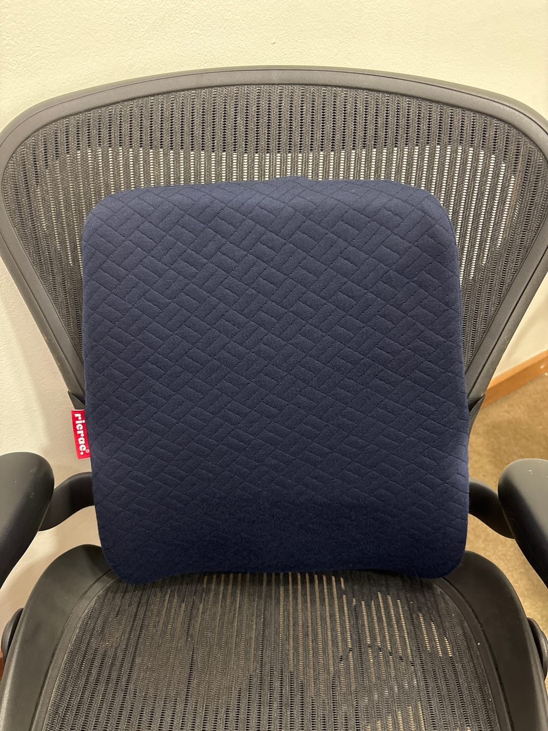 Customer photo review of Ruf- Full back Support Pillow