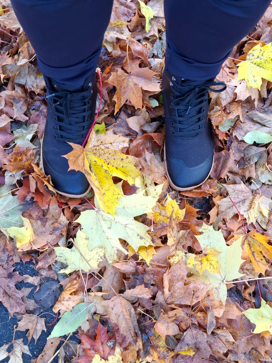Customer photo review of Vaistoa Tuohi 2 | Barefoot Light Hiking Shoes