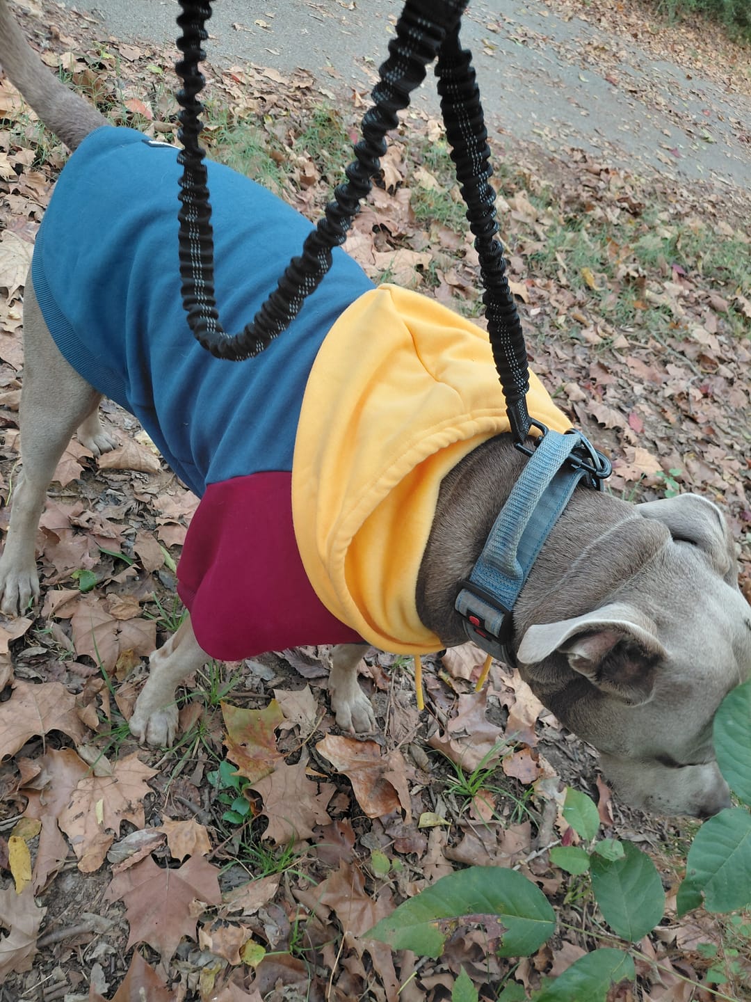 Customer photo review of Primary Color Block Human Hoodie
