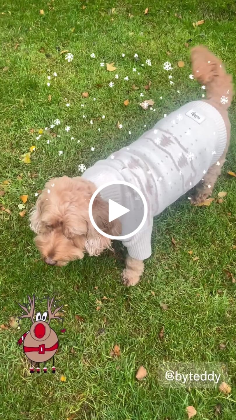 Customer video review of Winter Trees | Roll Neck Knit