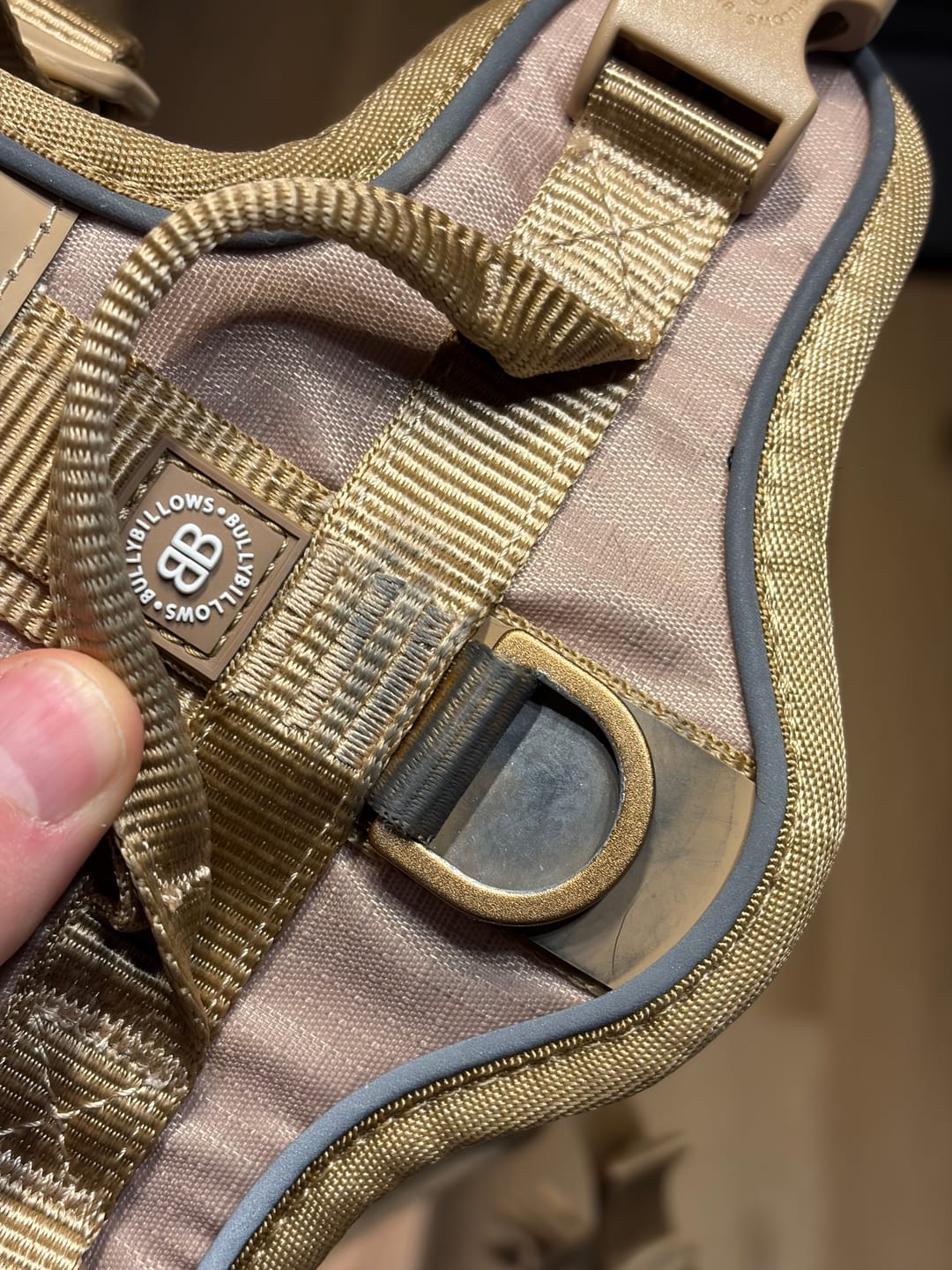 Customer photo review of 1.4m Lighter Swivel Combat Leash | Anti-Tangle & Secure Clip - Tan x Tan