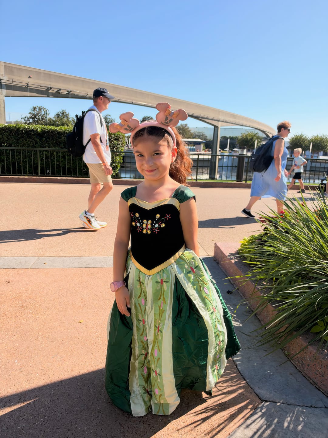Customer photo review of Portrait Collection Coronation Ice Princess Gown