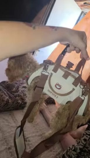 Customer photo review of Pawsy®Multifunctional Backpack with Strap™