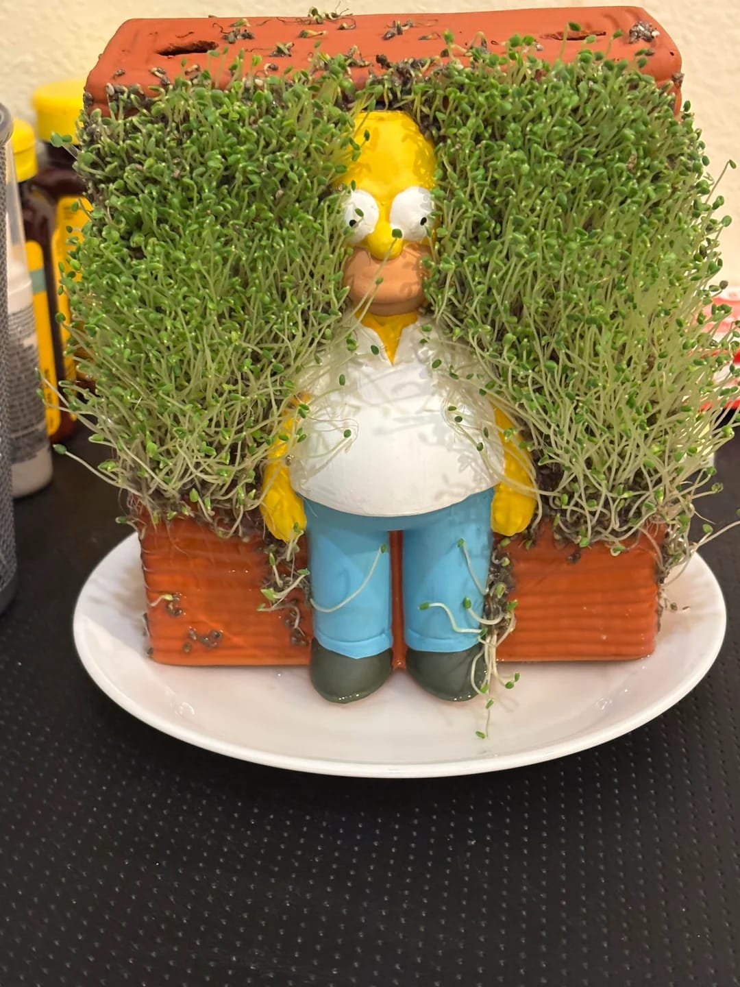 Customer photo review of Homer in the Bushes Chia