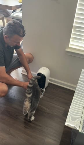 Customer photo review of Furdear Pisci 3L Automatic Pet Feeder with 1080p HD Camera