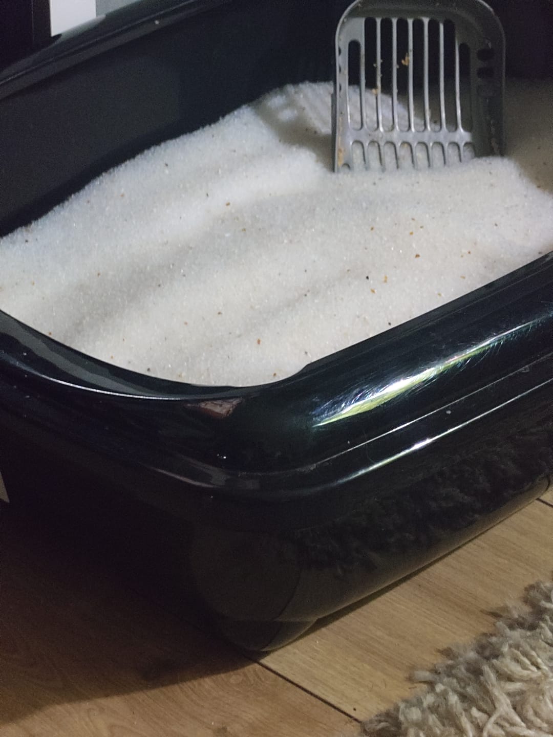 Customer photo review of Fit Litter