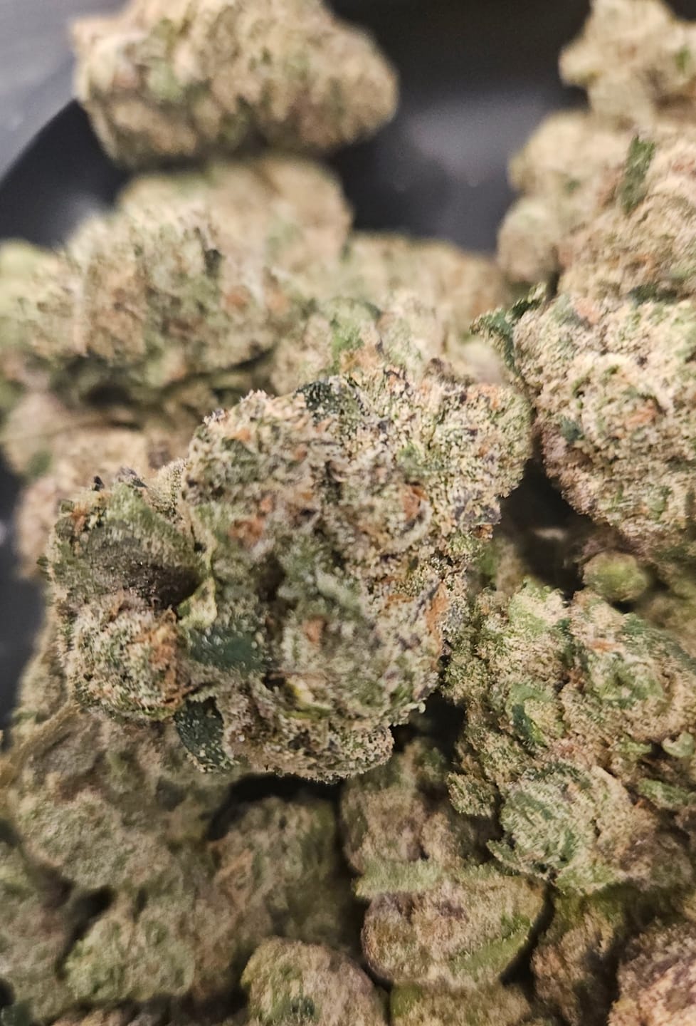 Customer photo review of Blueberry THCA Flower (Exotic)