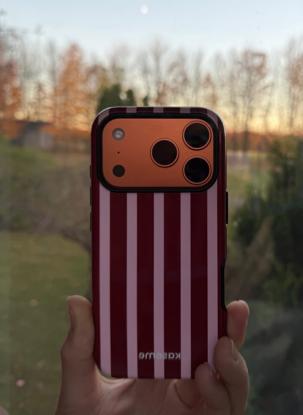 Customer photo review of Berry Lane