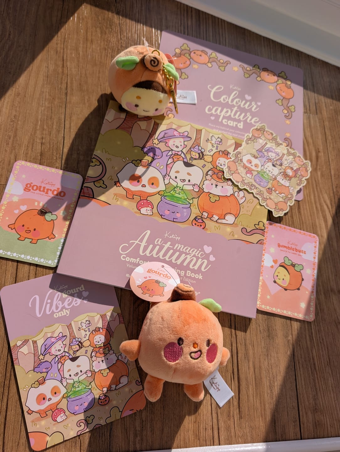 Customer photo review of Pumpkin Plush Keychain | Kawaii Autumn Bag Charm