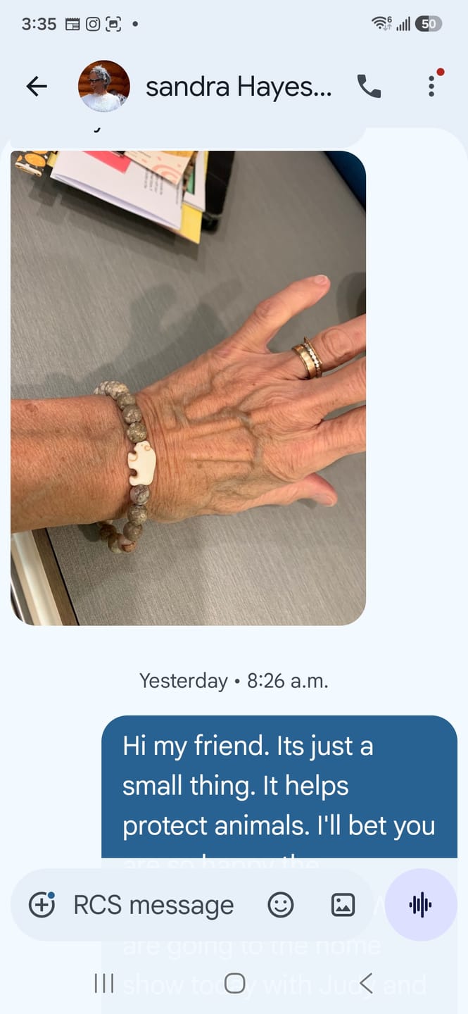 Customer photo review of The Roam Bracelet