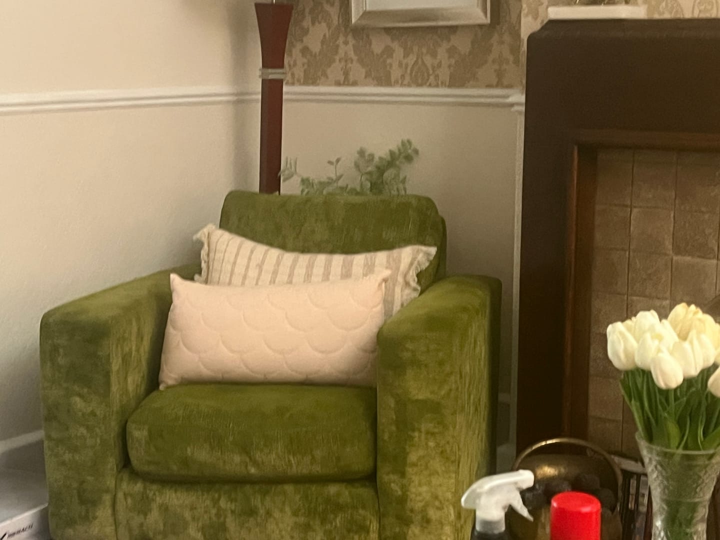 Customer photo review of Fabric Paint -- Olive