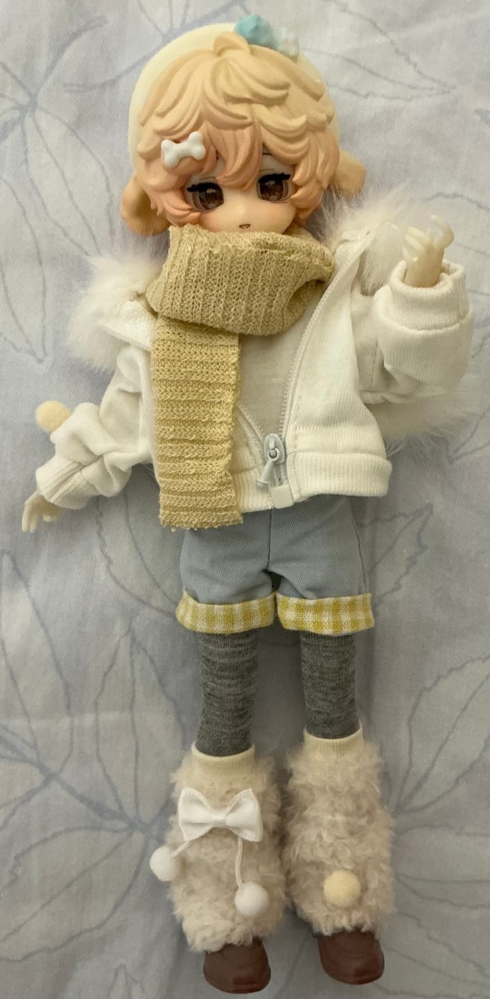 Customer photo review of Boxed Furry Series 1/8 Action Figure BJD Blind Box