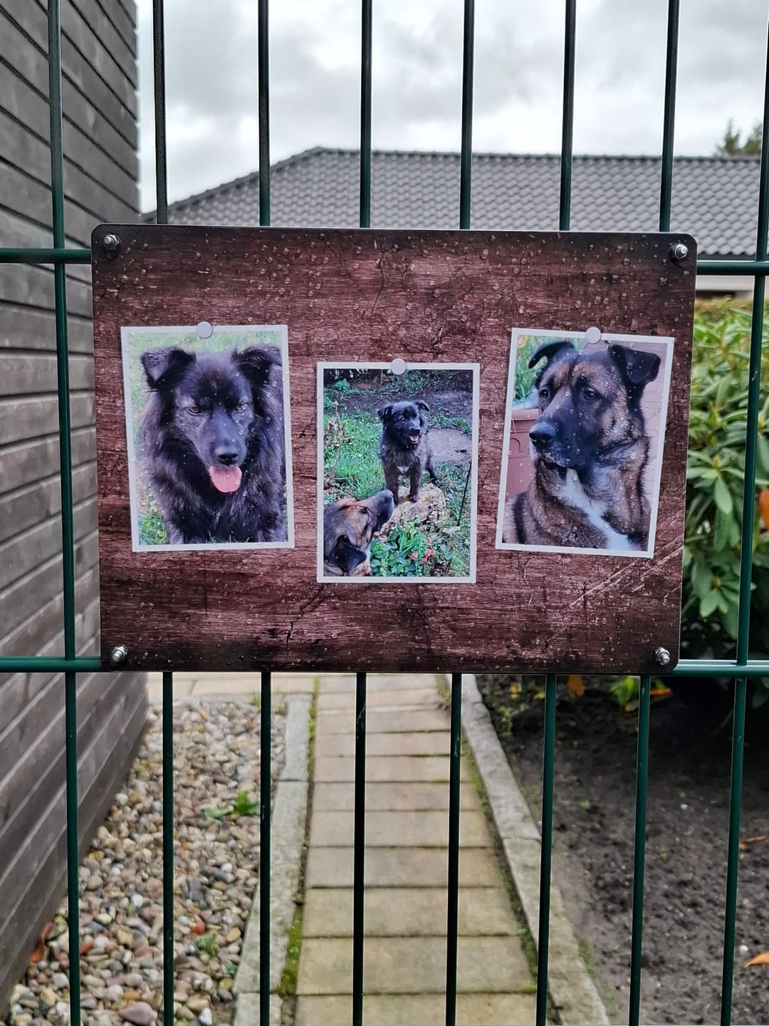 Customer photo review of Hunde-Türschild personalisiert mit Foto & Text (UV- und wetterfest)