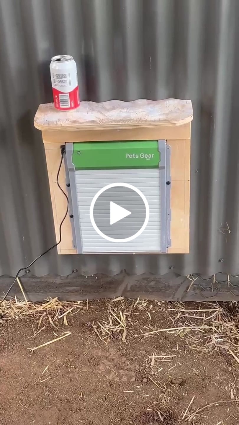 Customer video review of Pets Gear Automatic Chicken Coop Door Solar Powered