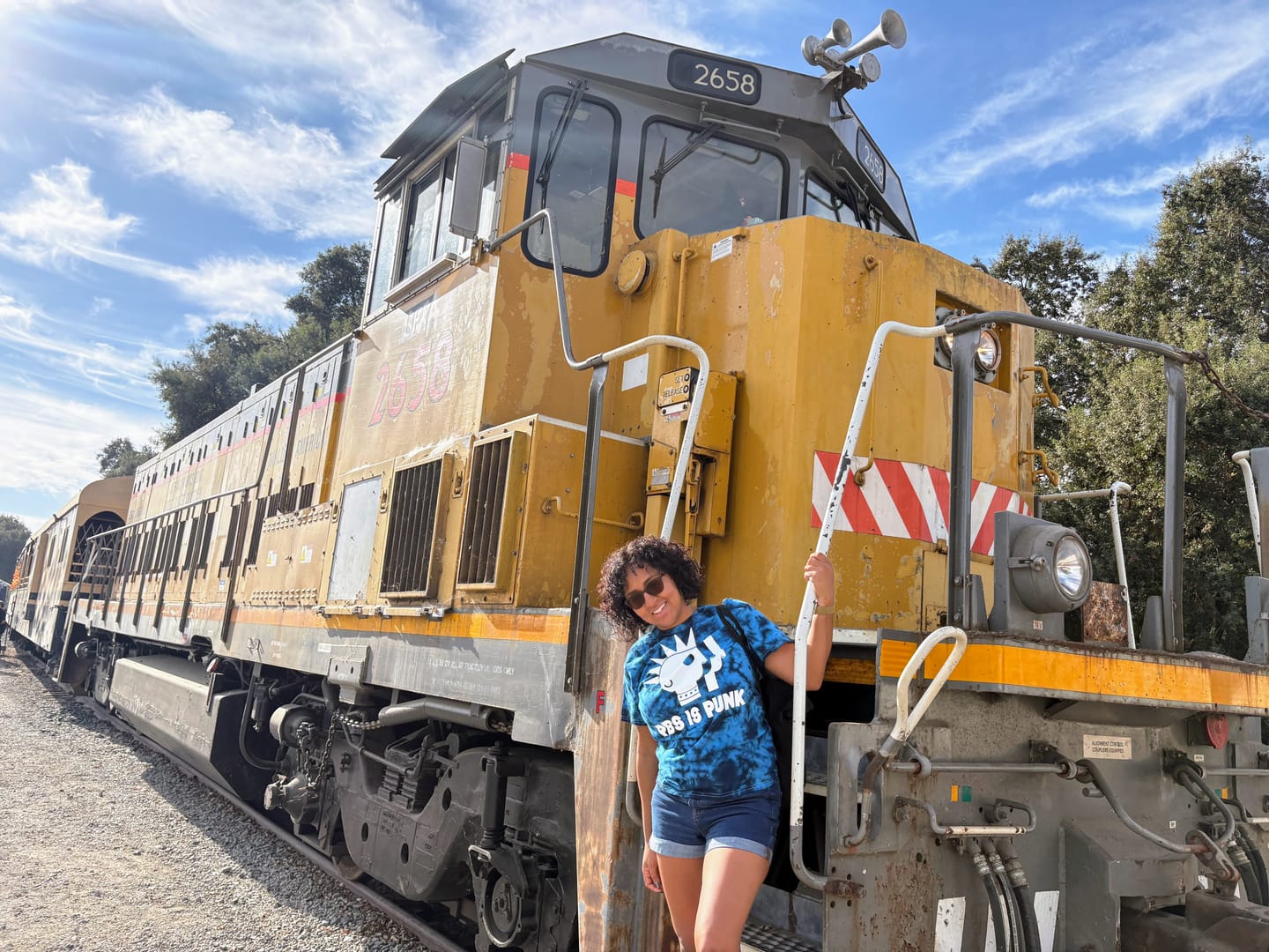 Customer photo review of PBS is Punk Tie-Dye Tee