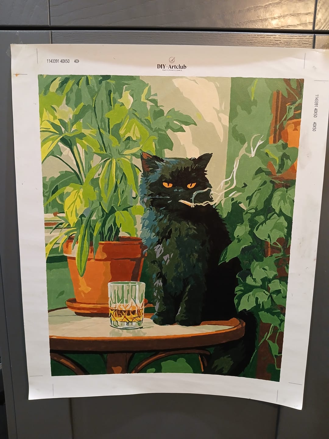 Customer photo review of Grumpy cat | Paint by Number