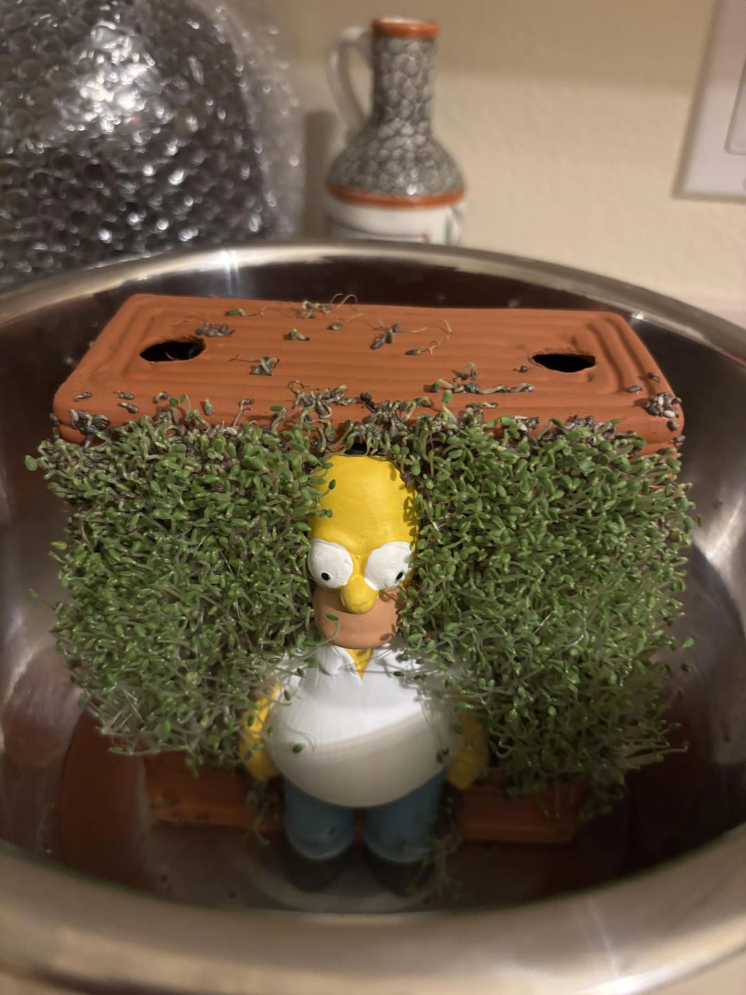 Customer photo review of Homer in the Bushes Chia