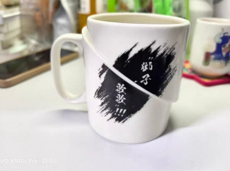 Customer photo review of Shishi Sonson Zoro Sliced In Half Mug