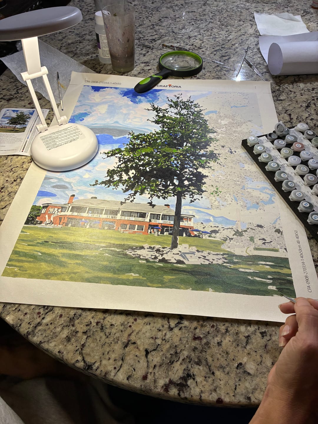 Customer photo review of Custom Paint By Numbers Kit
