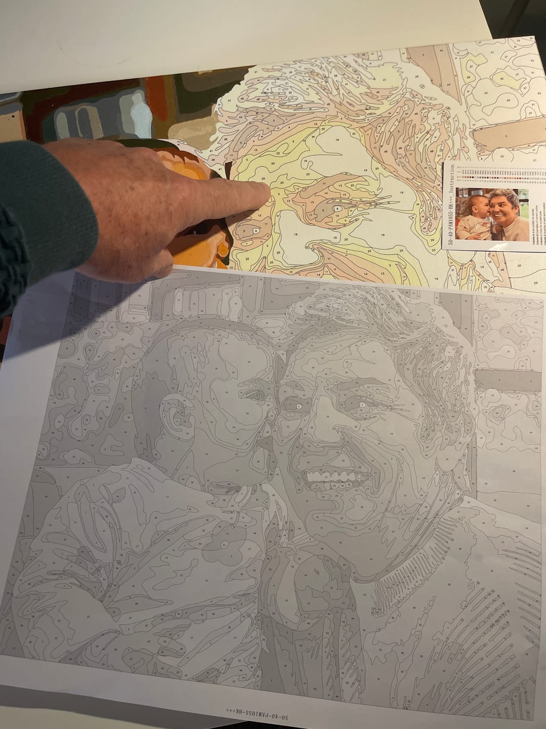 Customer photo review of Custom Paint by Numbers Kit from Your Photo