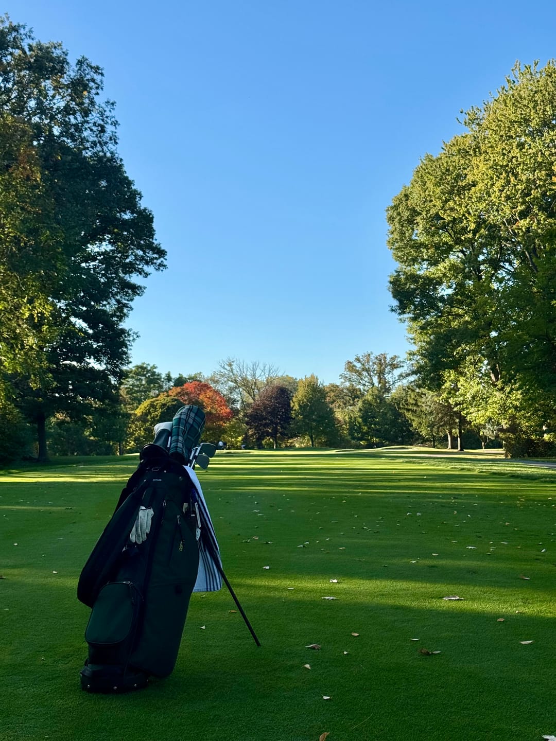 Customer photo review of Hudson Looper Golf Bag 2.0