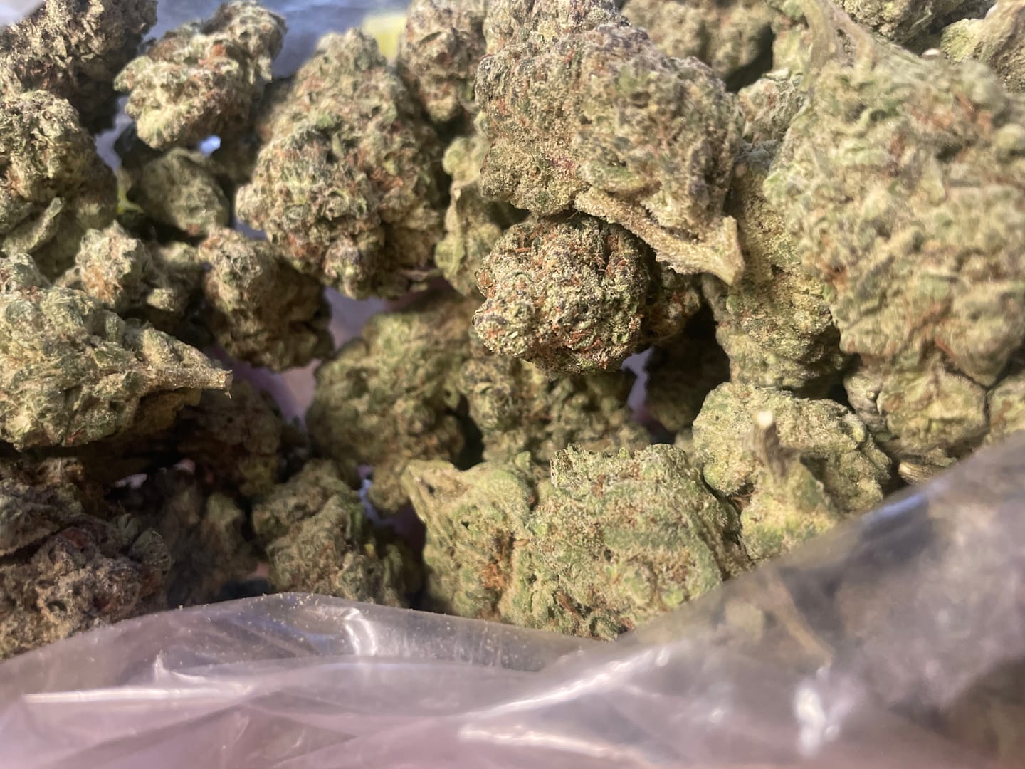 Customer photo review of Thin Mint Cookies - Bulk - Hybrid