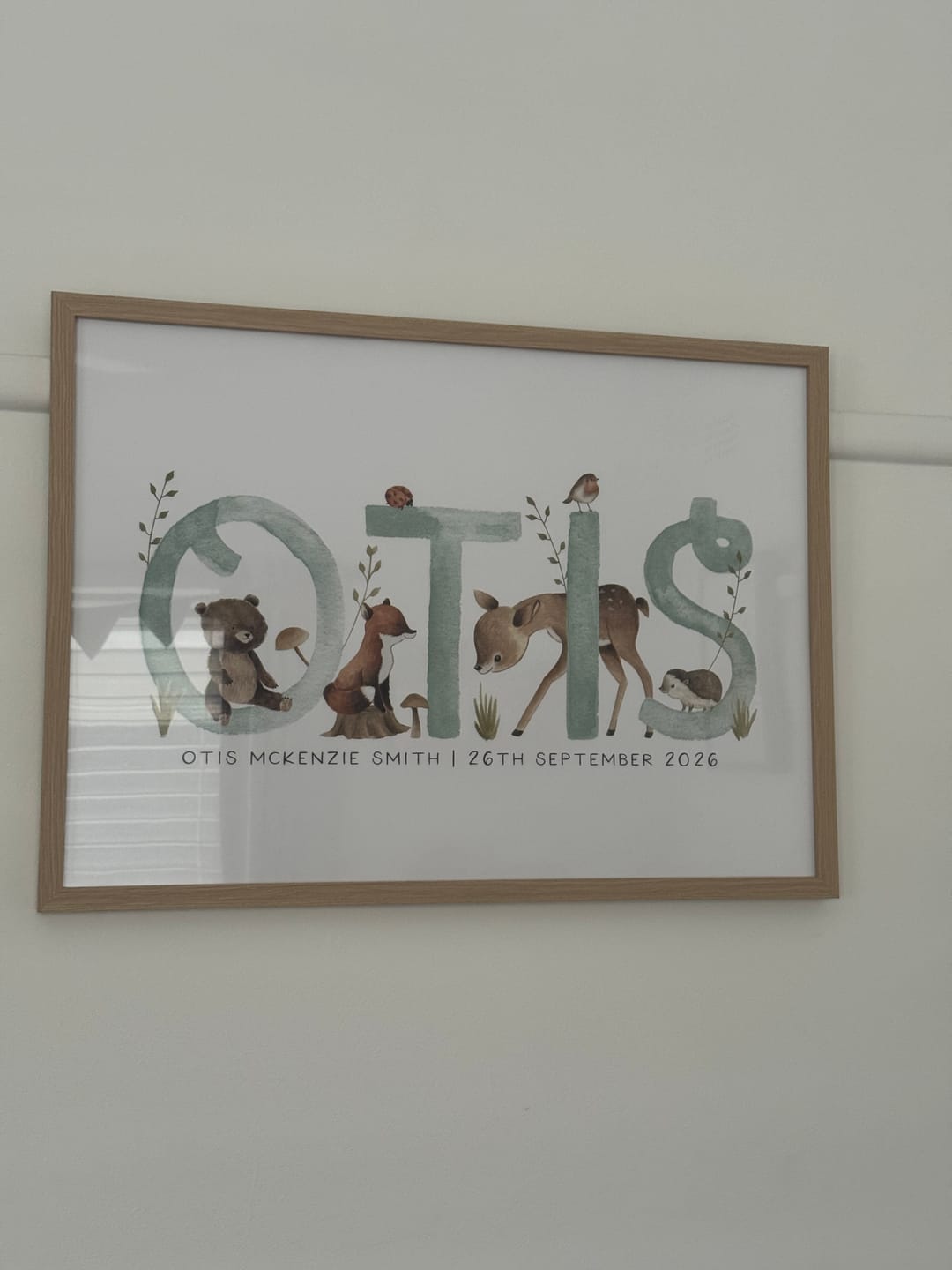 Customer photo review of Woodland Forest Name & Birth Print