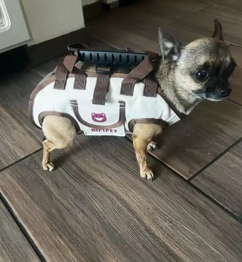 Customer photo review of Pawsy®Multifunctional Backpack with Strap™