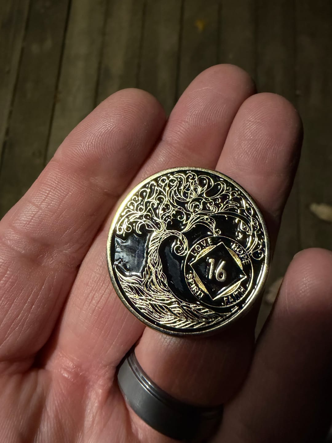 Customer photo review of 1 to 40 Year Sobriety Mint Twisted Tree of Life Gold Plated NA Recovery Medallion/Chip/Coin - Black