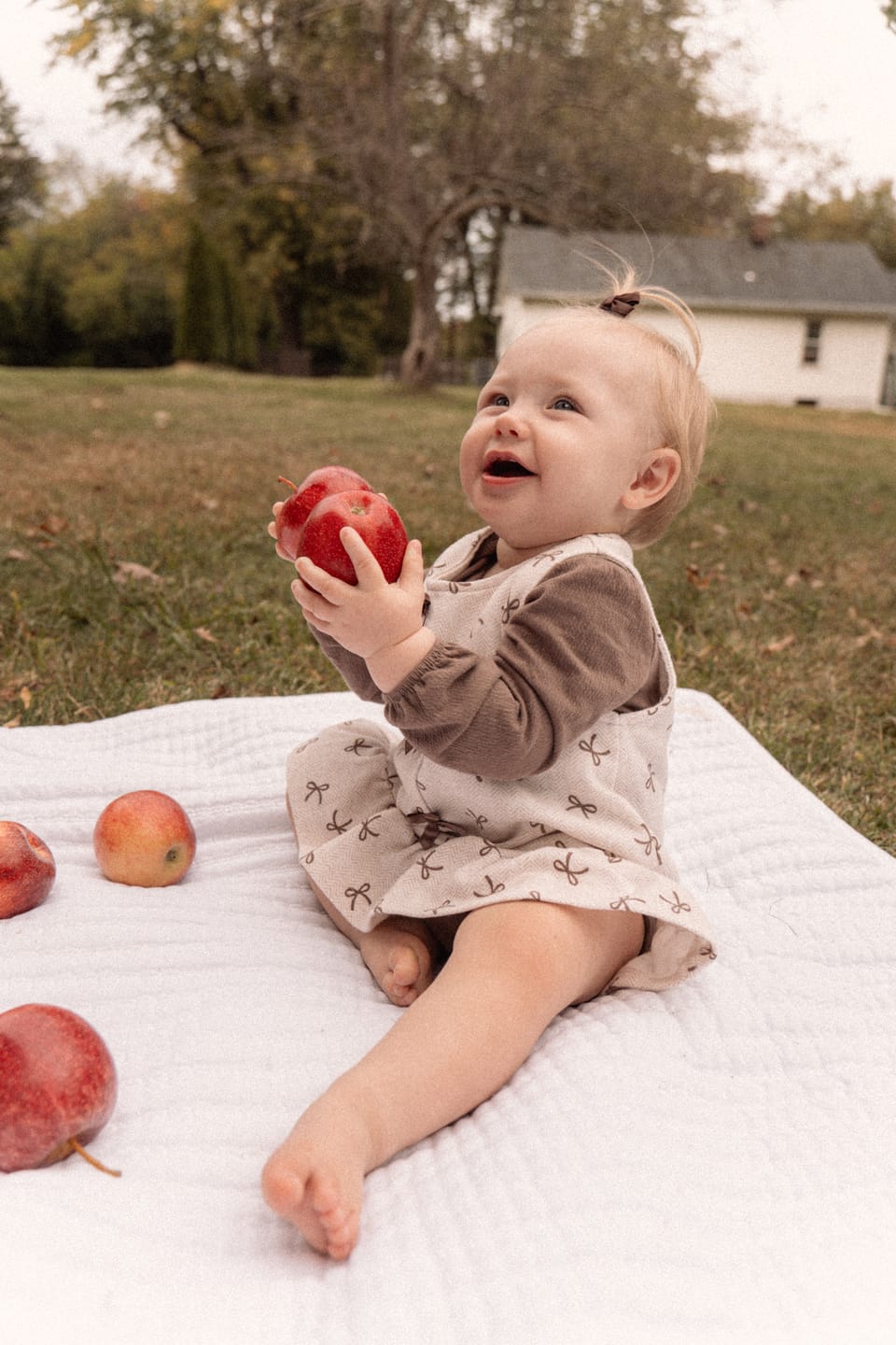 Customer photo review of Harvest Film Preset Collection