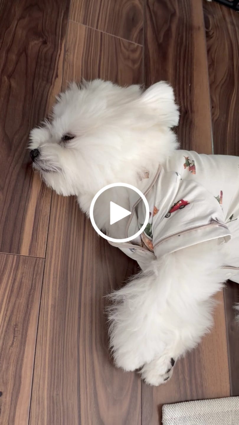 Customer video review of Alpine Village Matching Human Pyjama Set